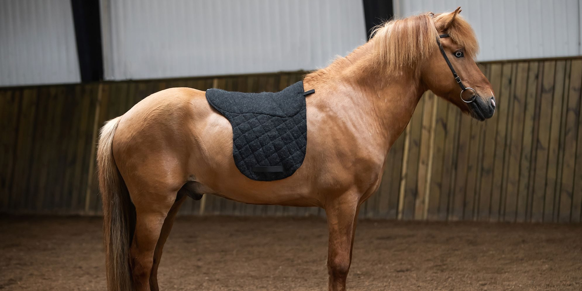 Horse Riding Equipment Store -Horse Riding Equipment Store 3