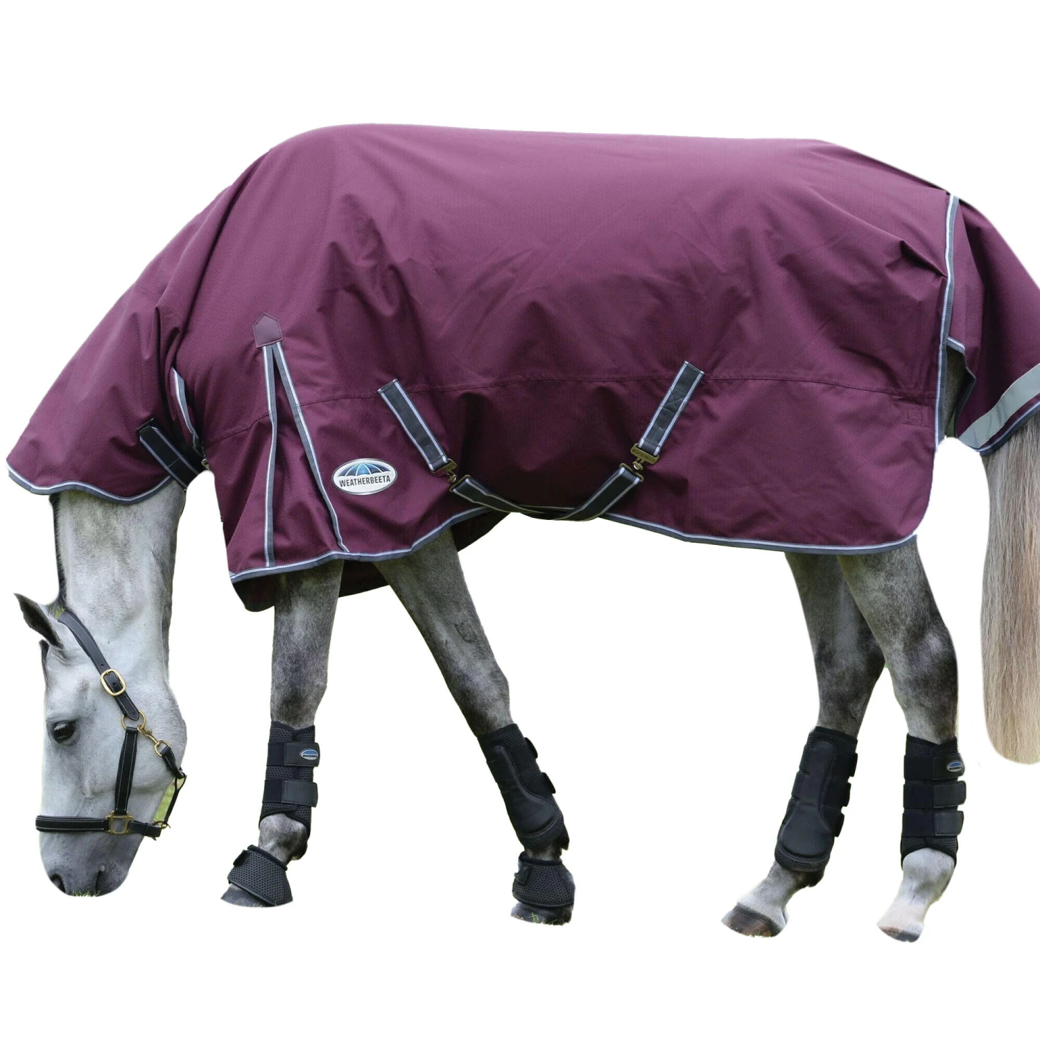 Weatherbeeta Comfitec Plus Dynamic II Combo Neck Midweight Horse Turnout Rug 3 Weatherbeeta Comfitec Plus Dynamic II Combo Neck Midweight Horse Turnout Rug - Image 3