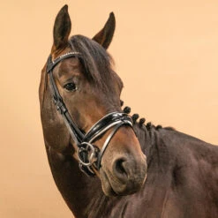 Horse & Pony Dressage Bridle 900 -Horse Riding Equipment Store k04636ff1d88371f77843c2b81e8069d4
