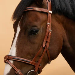 Horse Riding Leather Bridle With French Noseband For Horse & Pony 900 -Horse Riding Equipment Store k071ba13641856a5a008094f898d922a2