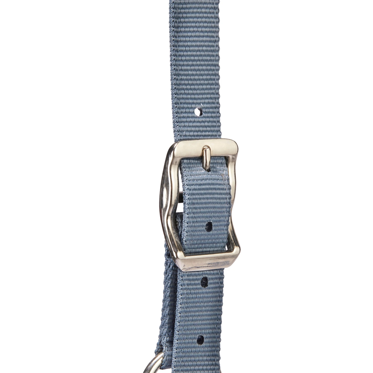 Horse Riding Halter + Leadrope Set - Nubuck/Blue 5 Horse Riding Halter + Leadrope Set - Nubuck/Blue - Image 5