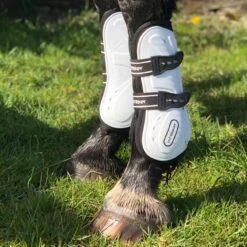 Bingley Tendon And Fetlock Boots -Horse Riding Equipment Store k1a0f319ddc46d34ebc92ab18e4d7f5a8