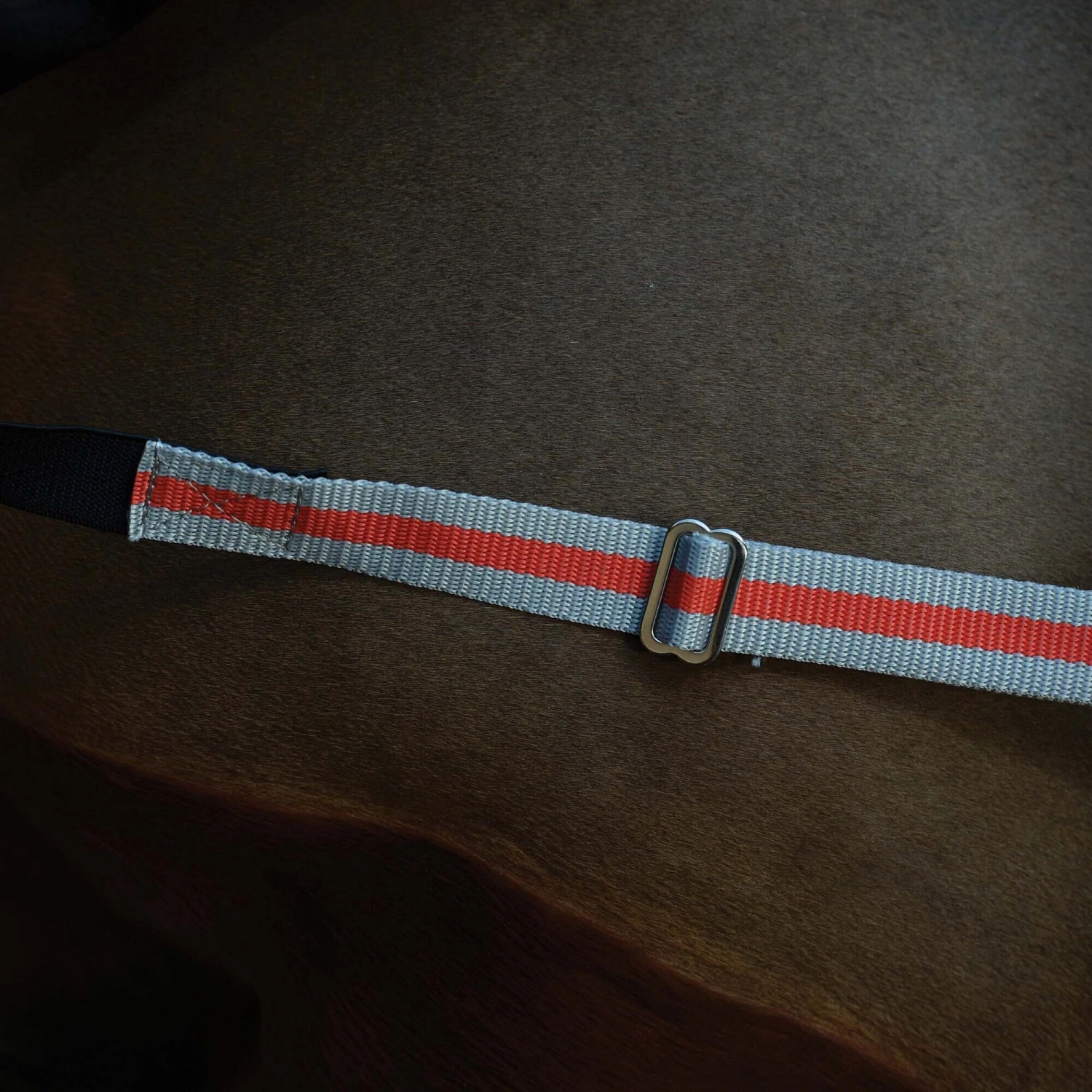 Weatherbeeta Comfitec Premier Therapy Tec Detachaneck Medium Turnout Rug (Black/Silver/Red) 3 Weatherbeeta Comfitec Premier Therapy Tec Detachaneck Medium Turnout Rug (Black/Silver/Red) - Image 3