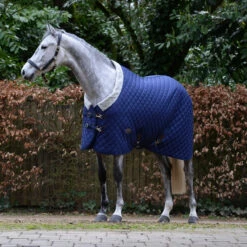 Weatherbeeta Comfitec Deluxe Diamond Quilt Standard Neck Medium Stable Rug (Navy) -Horse Riding Equipment Store k1ab2880e0cd6dddfb6b3d313dc300b96
