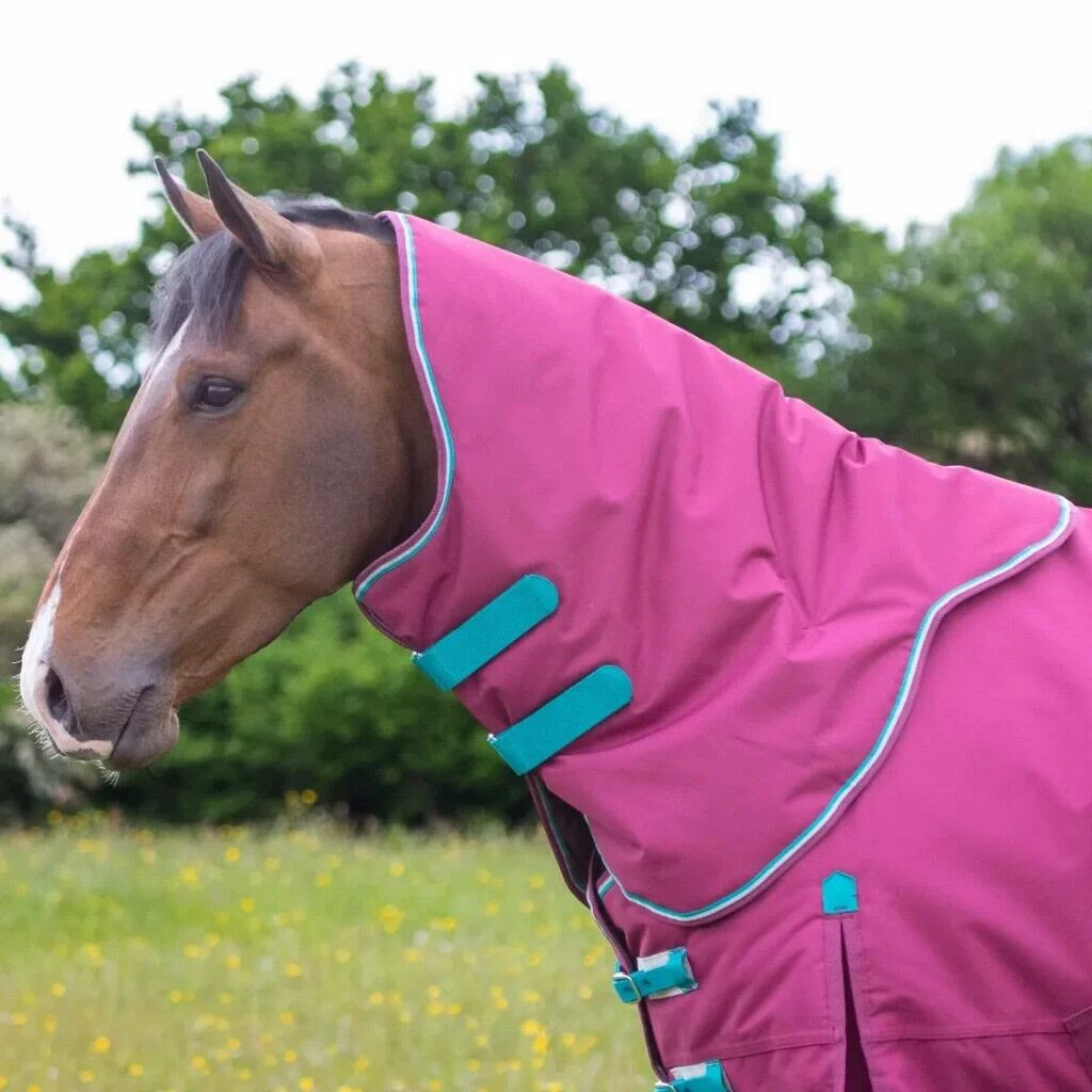 Highlander Original StandardNeck 300g Horse Turnout Rug & Neck Cover (Raspberry) 2 Highlander Original StandardNeck 300g Horse Turnout Rug & Neck Cover (Raspberry) - Image 2