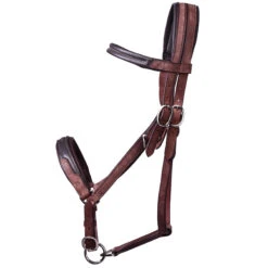 Trail Horse Riding Bridle / Halter And Reins Escape - Brown -Horse Riding Equipment Store k1bd2030751ce6bdf72631e3980c0e649