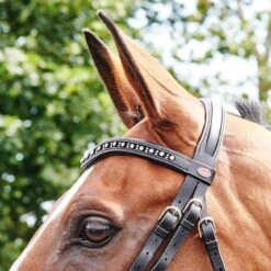 Lynton Flash Bridle With X2 Browbands -Horse Riding Equipment Store k1fc06901b195b3ff03d1b9fafdfcdaf6