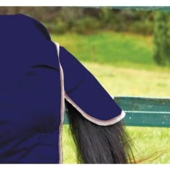 Weatherbeeta Comfitec Essential Combo Neck Horse Turnout Rug (Navy/Silver/Red) 6 Weatherbeeta Comfitec Essential Combo Neck Horse Turnout Rug (Navy/Silver/Red) -Horse Riding Equipment Store k218ede9c6edfc40fca4b8a6939a7902a