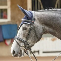 EASTWOOD CRANK BRIDLE INCLUDING REINS -Horse Riding Equipment Store k23571d903f4c50699da0f1f6e4a22963