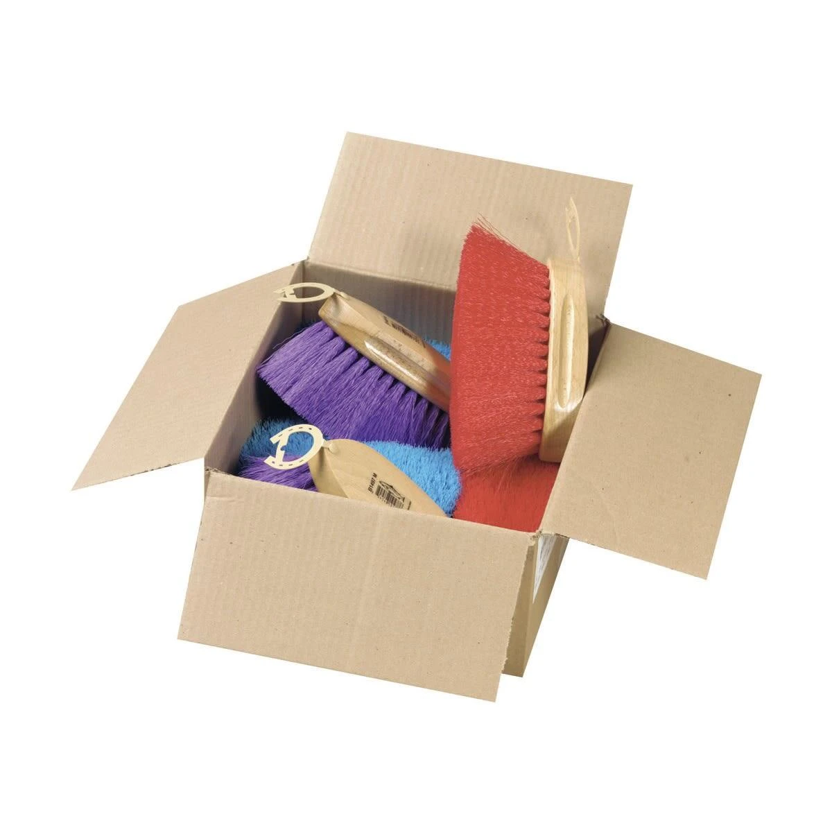 Dusting Dandy Brush (Assorted) 1 Dusting Dandy Brush (Assorted)