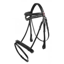 Lynton Flash Bridle With X2 Browbands -Horse Riding Equipment Store k2600663c07f8c4d69e2c7c5c6df85e3a