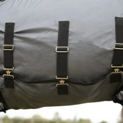 Horse Riding Fly Sheet For Horse & Pony 100 11 Horse Riding Fly Sheet For Horse & Pony 100 -Horse Riding Equipment Store k26c07e297af9129963cdae1822f4e6a2