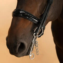 Horse & Pony Dressage Double Bridle 900 -Horse Riding Equipment Store k27e605c041f895fdef5dbf662b45645c
