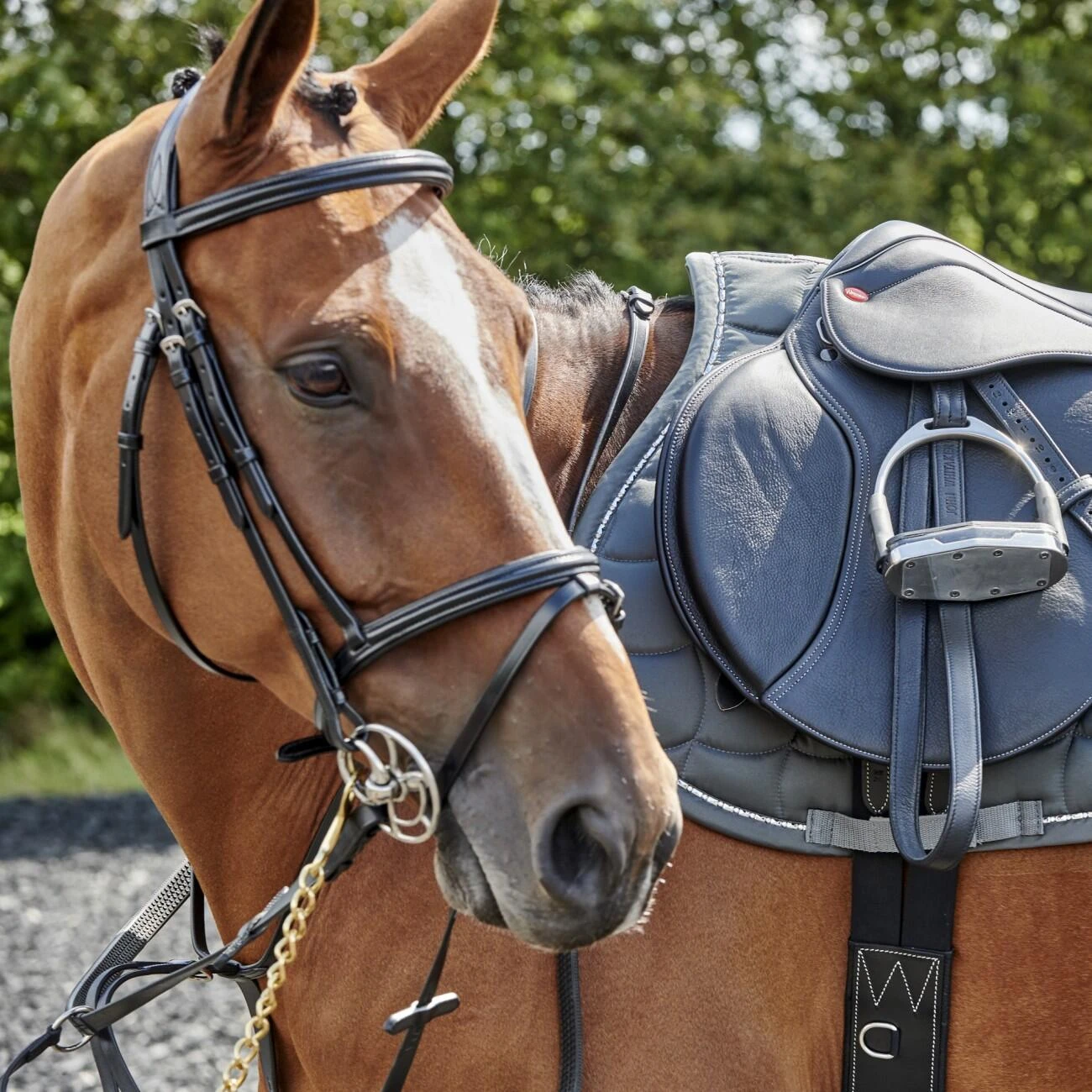 Barton Raised Flash Bridle Includes Rubber Reins 4 Barton Raised Flash Bridle Includes Rubber Reins - Image 4