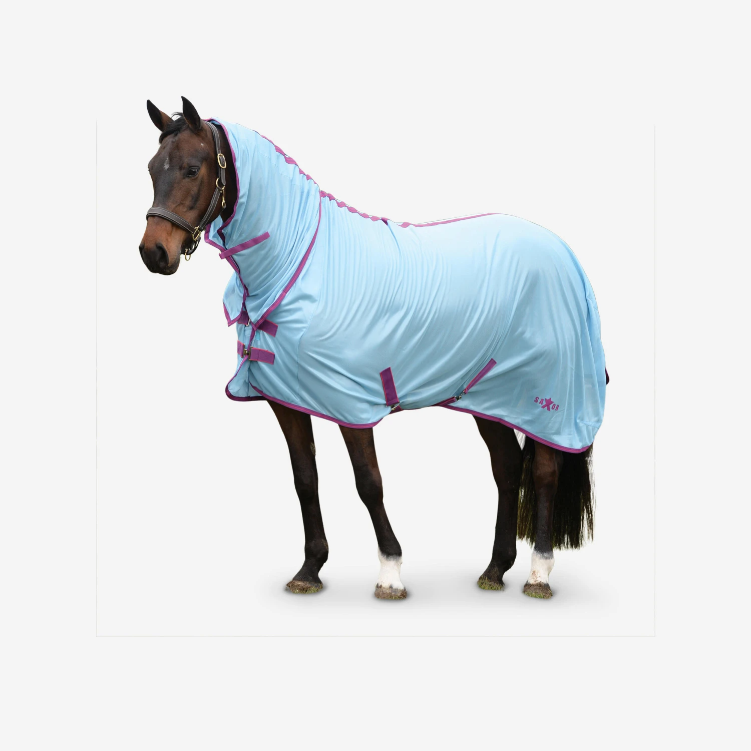 Weatherbeeta SAXON MESH COMBO NECK 1 Weatherbeeta SAXON MESH COMBO NECK