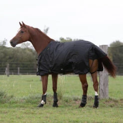 Waterproof Horse Rug 1000D Allweather 50 -Horse Riding Equipment Store k2d9cb806aa5dd0a6224e0ed9a39e57f1