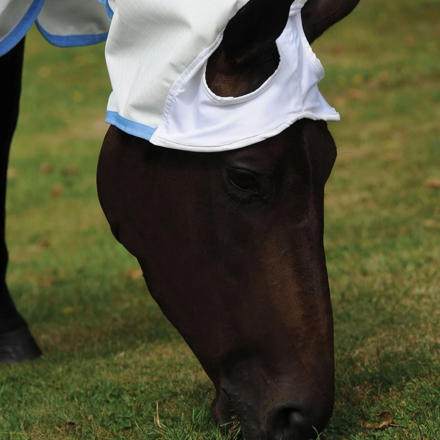 Weatherbeeta Comfitec Sweet Itch Shield Combo Neck Horse Turnout Rug (White/Blue) 3 Weatherbeeta Comfitec Sweet Itch Shield Combo Neck Horse Turnout Rug (White/Blue) - Image 3