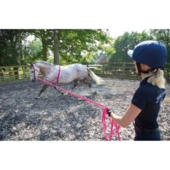 Fleece Padding Nylon Horse Lunging Roller (Black) -Horse Riding Equipment Store k35d43ec75cd6f754b755ff500a171512