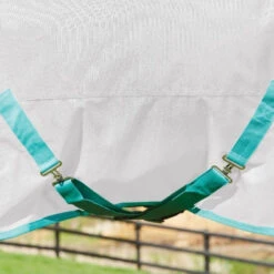 Weatherbeeta GreenTec Plus Combo Neck Lightweight Horse Turnout Rug (Light Grey/Bottle Green) -Horse Riding Equipment Store k386fb34c00711e372b38c9b2dc1d092b