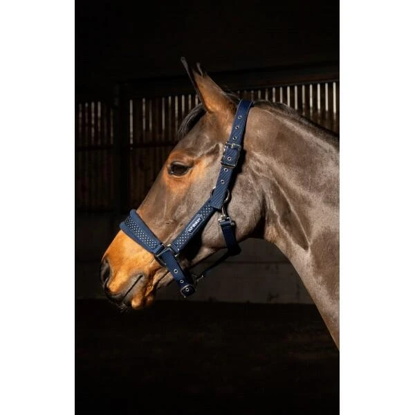 SAN FRANCISCO HEADCOLLAR 1 SAN FRANCISCO HEADCOLLAR