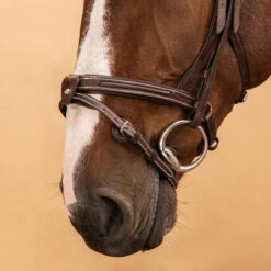 Horse Riding Leather Bridle With French Noseband For Horse & Pony 900 -Horse Riding Equipment Store k3f3f4ef5b114f71ee30f2dfc83d63ef5