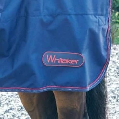 Rastrick 250G Combo Turnout Rug 9 Rastrick 250G Combo Turnout Rug -Horse Riding Equipment Store k42a392ebb3d1dd2be42af4d50b96e64b