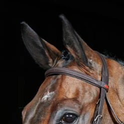 Ready To Ride Flash Bridle 14 Ready To Ride Flash Bridle -Horse Riding Equipment Store k44160a670c481134d4f3a8f474743bc7