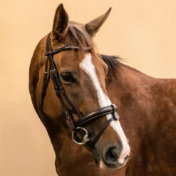 Horse Riding Leather Bridle With French Noseband 580 27 Horse Riding Leather Bridle With French Noseband 580 -Horse Riding Equipment Store k46500797a2848a9792b8887e50790733