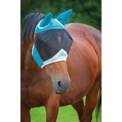 Fine Mesh Horse Fly Mask With Ears (Black) -Horse Riding Equipment Store k49b535decfd0af79345c82175162c4b1