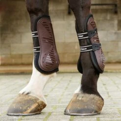Bingley Tendon And Fetlock Boots -Horse Riding Equipment Store k4f4e2de2047694aef34b1d2024287456
