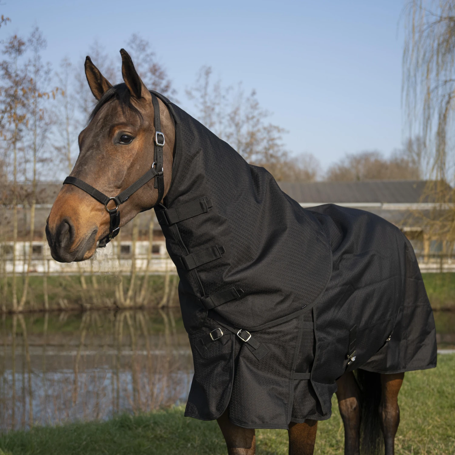 Horse Riding Waterproof Neck Cover For Horse Allweather 200 2 Horse Riding Waterproof Neck Cover For Horse Allweather 200 - Image 2
