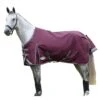 Weatherbeeta Comfitec Plus Dynamic II StandardNeck Lightweight Horse Turnout Rug