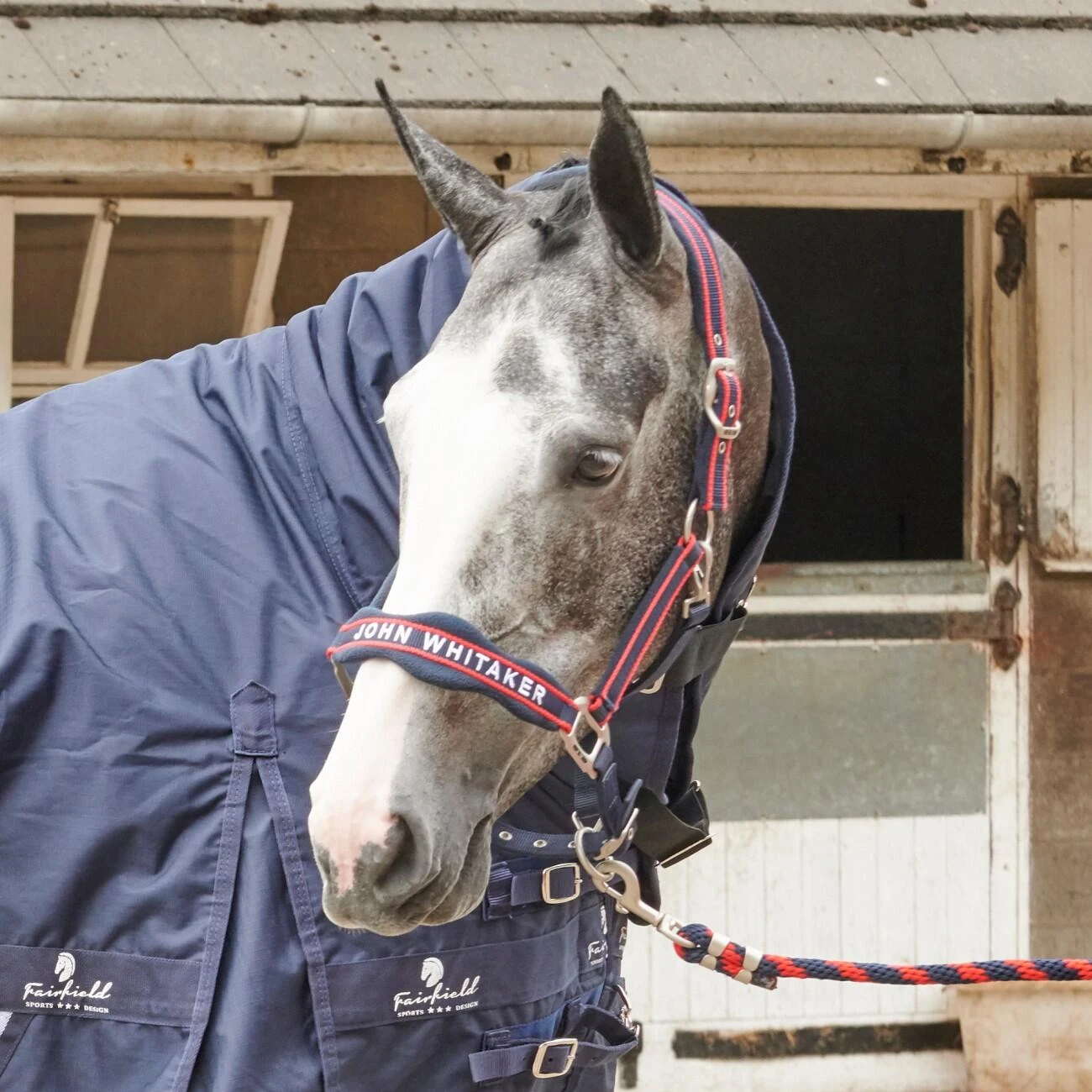 AIRFLOW HEAD COLLAR WITH LEADROPE SET 3 AIRFLOW HEAD COLLAR WITH LEADROPE SET - Image 3