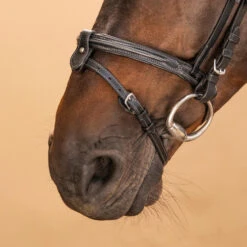 Horse & Pony Leather Bridle With French Noseband 580 -Horse Riding Equipment Store k5ab11b53fd964453c48172b6390d78cd
