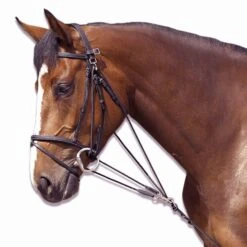 Horse Riding Schooling Gogue For Pony 29 Horse Riding Schooling Gogue For Pony -Horse Riding Equipment Store k5bb49fe30b6ac042080beb9699d5f458