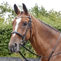 Lynton Snaffle Bridle With X2 Browbands -Horse Riding Equipment Store k5c0f97be4fc26e500ea3fda1bc645e3f