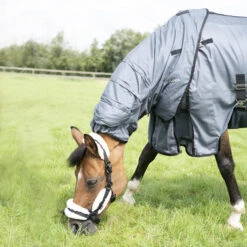 Horse Riding Fly Sheet For Horse & Pony Comfort -Horse Riding Equipment Store k657db9d4165a0235219b81e03d6a4377