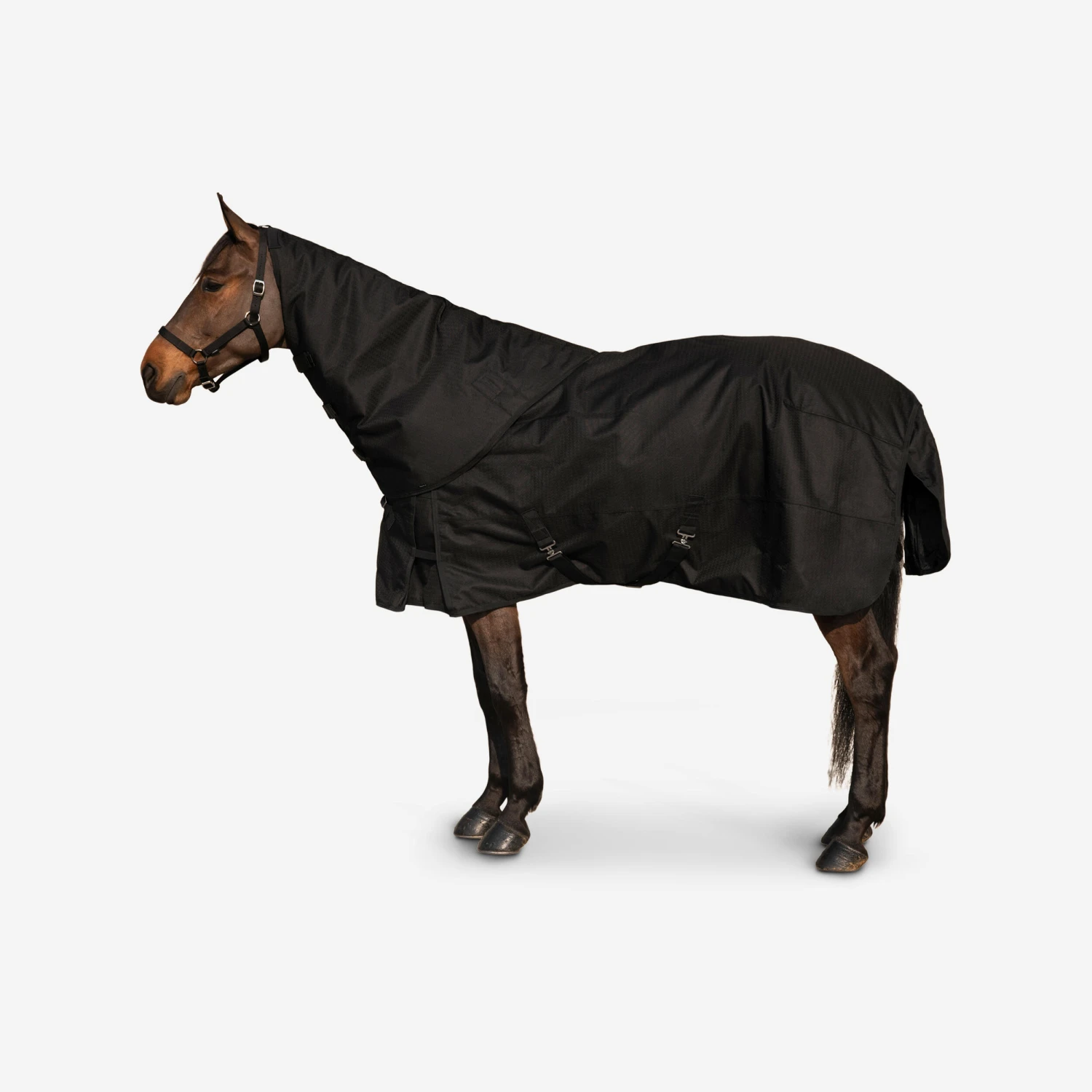 Horse Riding Waterproof Neck Cover For Horse Allweather 200 1 Horse Riding Waterproof Neck Cover For Horse Allweather 200