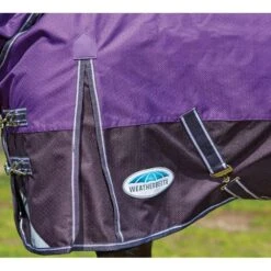 Weatherbeeta Comfitec Heavy Plus Dynamic Detachaneck Turnout Rug (Purple/Black) 6 Weatherbeeta Comfitec Heavy Plus Dynamic Detachaneck Turnout Rug (Purple/Black) -Horse Riding Equipment Store k6e83ecd5dcf34249e9c0a0fd141fcb1c
