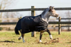 Imper 200 600D Horse Riding Rug For Pony 7 Imper 200 600D Horse Riding Rug For Pony -Horse Riding Equipment Store k72553da92fba0ad289de357e43ae6f68