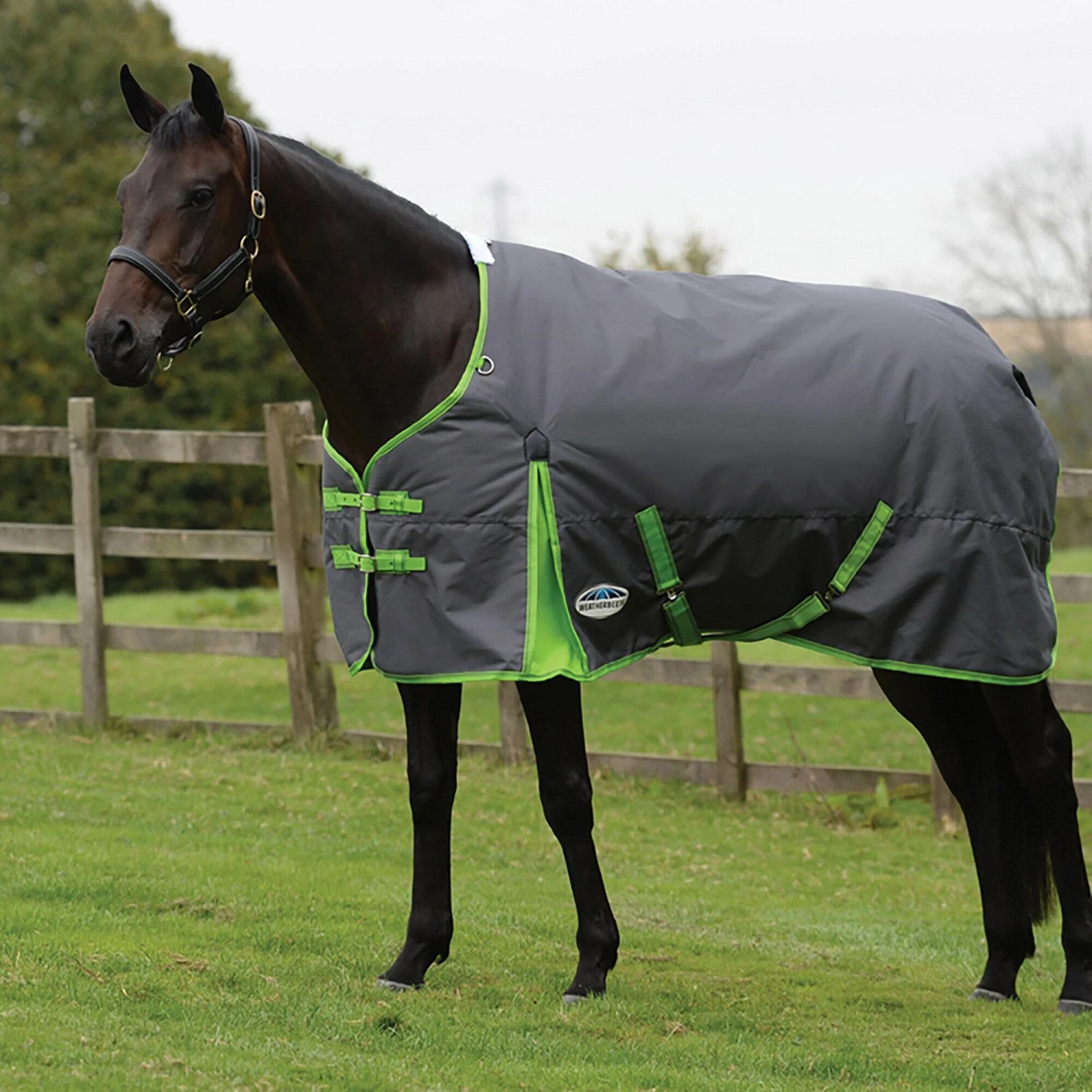 Weatherbeeta Comfitec Essential StandardNeck Midweight Horse Turnout Rug (Grey/Lime) 2 Weatherbeeta Comfitec Essential StandardNeck Midweight Horse Turnout Rug (Grey/Lime) - Image 2