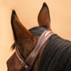 Horse Riding Crossed-Noseband Leather Bridle For Horse And Pony 580 29 Horse Riding Crossed-Noseband Leather Bridle For Horse And Pony 580 -Horse Riding Equipment Store k778f073d82b694e019015e253781d159