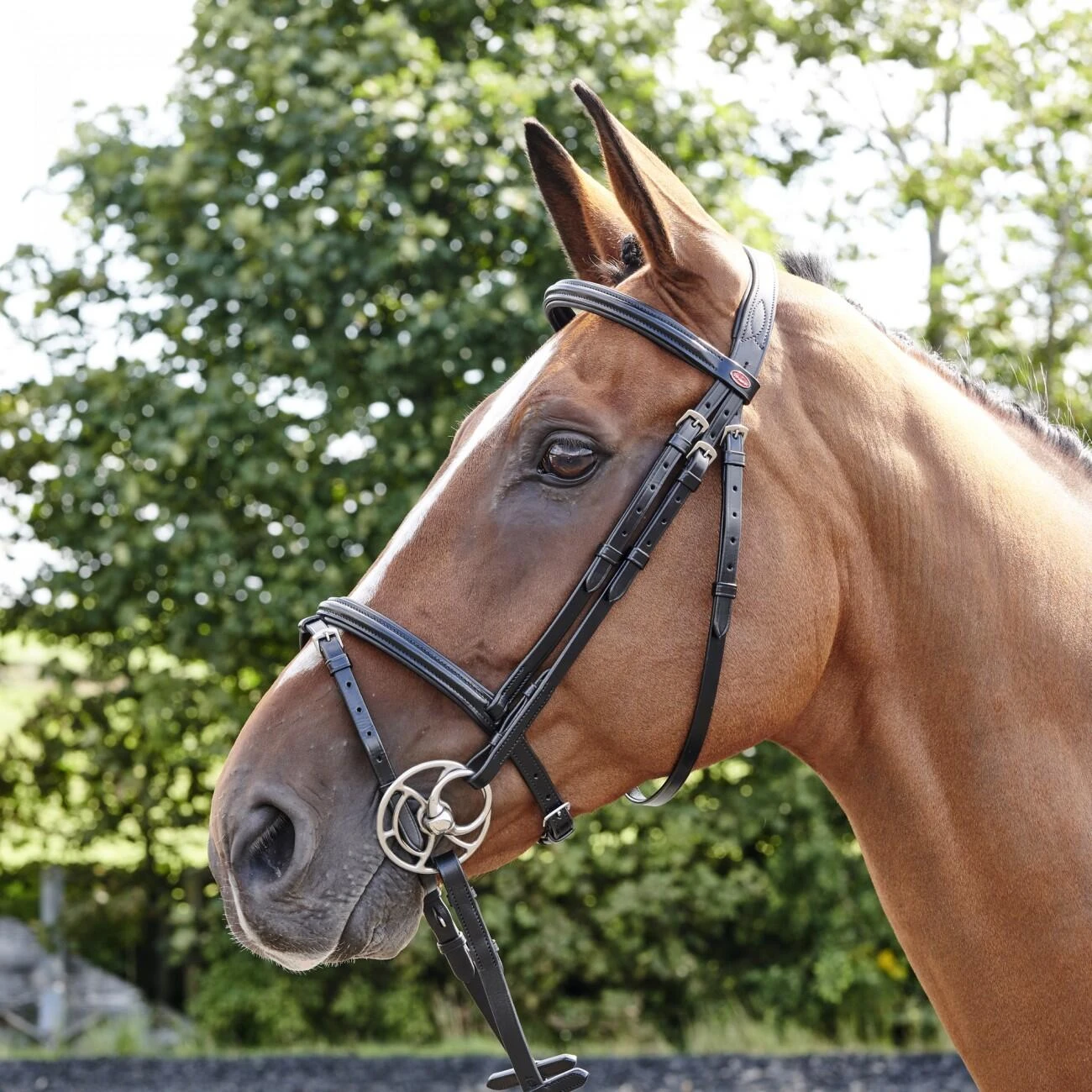 Barton Raised Flash Bridle Includes Rubber Reins 1 Barton Raised Flash Bridle Includes Rubber Reins