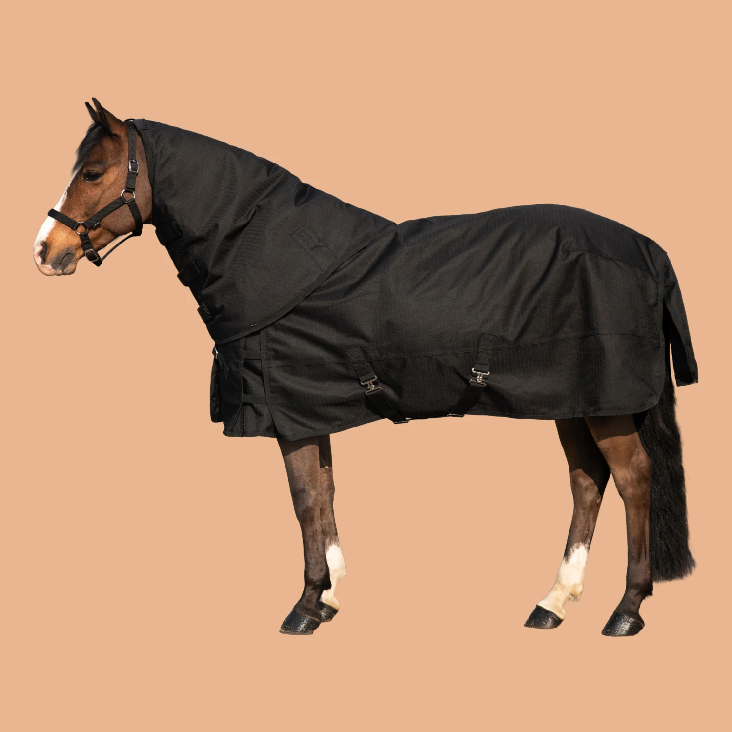 Horse Riding Waterproof Neck Cover For Horse Allweather 200 7 Horse Riding Waterproof Neck Cover For Horse Allweather 200 - Image 7