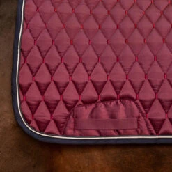 Horse Riding Dressage Saddle Cloth For Horse 900 22 Horse Riding Dressage Saddle Cloth For Horse 900 -Horse Riding Equipment Store k7d065eb66924fccc926957bdc5d3f274