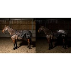 Sydney Reflective Exercise Sheet 6 Sydney Reflective Exercise Sheet -Horse Riding Equipment Store k7d5ef6702a60d45315d7da5d24b3cf22