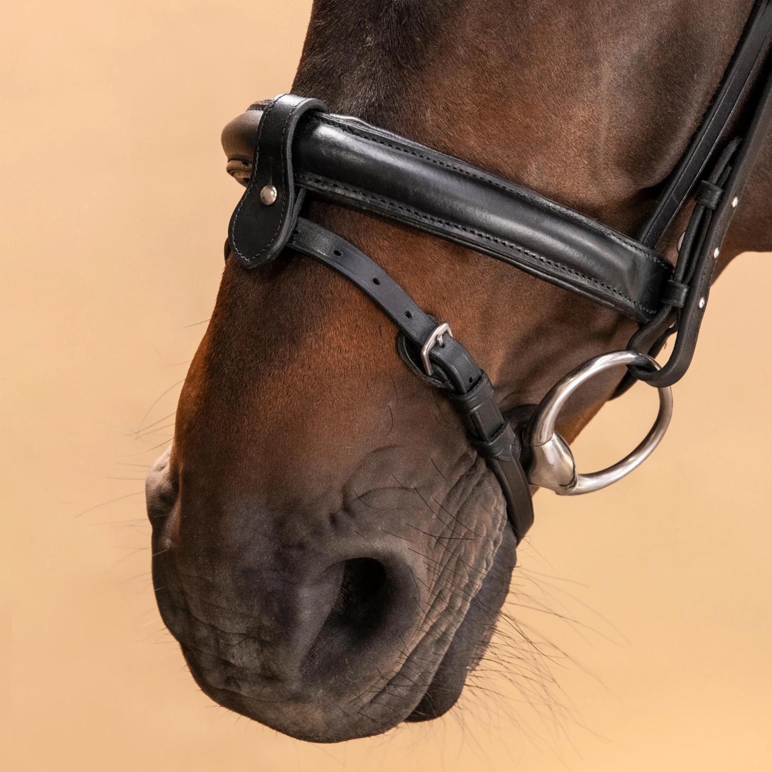 Horse Riding Leather Bridle With French Noseband 580 6 Horse Riding Leather Bridle With French Noseband 580 - Image 6