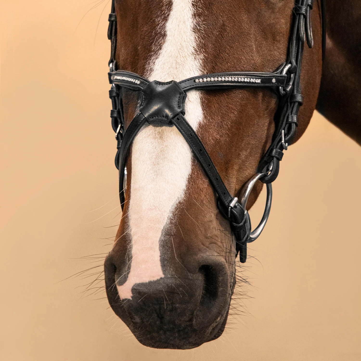 Horse Riding Crossed-Noseband Leather Bridle For Horse And Pony 580 7 Horse Riding Crossed-Noseband Leather Bridle For Horse And Pony 580 - Image 7