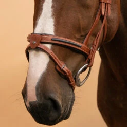 Horse Riding Leather Bridle With French Noseband For Horse & Pony 900 -Horse Riding Equipment Store k83dfcdb2763578c0a3cfc92f5eaf782b