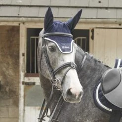 EASTWOOD CRANK BRIDLE INCLUDING REINS -Horse Riding Equipment Store k84eba477f536ba4221a08fe0df49ed3c